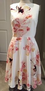 WHBM White floral print dress